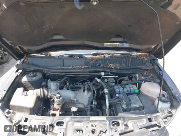 2006 Chevrolet Equinox LT с VIN 2CNDL63FX66084321, выставлен на аукционе IAAI как лот 43198772 с пробегом 136 274 миль миль и . История ставок и продаж доступна на DreamBid. Изображение 10.