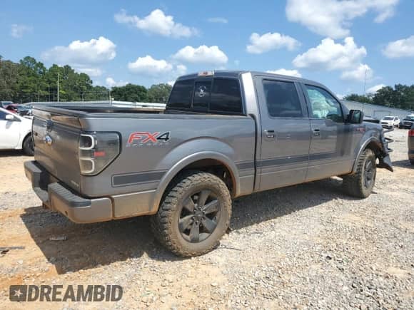 2013 Ford F-150 XL with VIN 1FTFW1EF2DFC38446, listed as a Copart auction lot 80144465 with 227,994 mi miles and Salvage title. Bid and sale history available at DreamBid. Image 3.