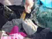 2011 Honda Accord EX with VIN 1HGCS1B79BA001377, listed as a IAAI auction lot 40209633 with 71,364 mi miles and . Bid and sale history available at DreamBid. Image 5.