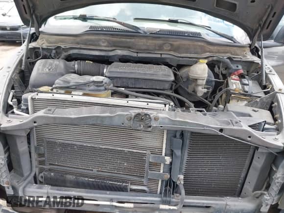2003 Dodge 1500 ST with VIN 1D7HA18N23J596951, listed as a IAAI auction lot 42724060 with 249,805 mi miles and . Bid and sale history available at DreamBid. Image 10.