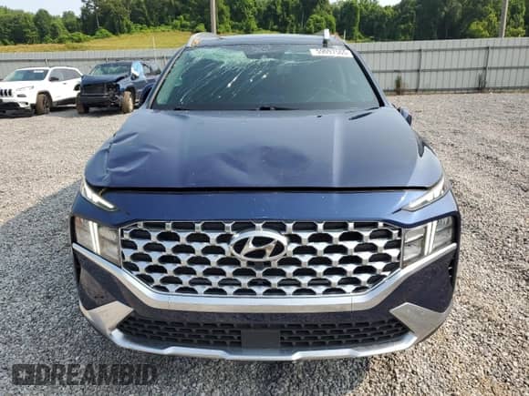 2023 Hyundai Santa Fe SEL with VIN 5NMS3DAJ8PH506541, listed as a Copart auction lot 59097565 with 51,198 mi miles and Salvage title. Bid and sale history available at DreamBid. Image 5.