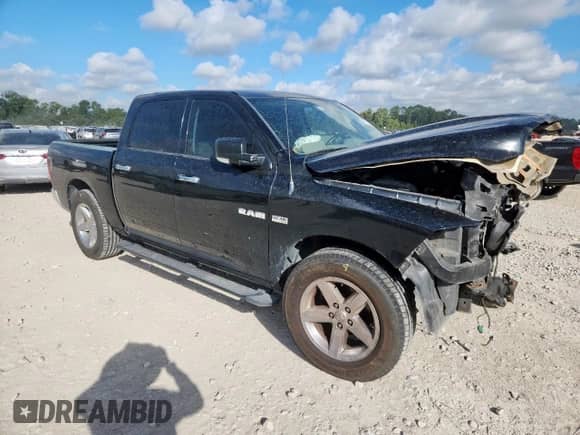 2009 Dodge 1500 SLT с VIN 1D3HB13T69S777283, выставлен на аукционе Copart как лот 81624935 с пробегом 151 571 миль миль и Списание • Salvage title. История ставок и продаж доступна на DreamBid. Изображение 4.