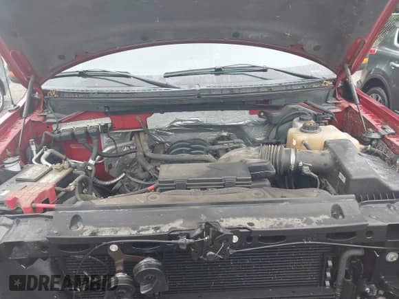 2013 Ford F-150 XL с VIN 1FTFW1EF3DFC39993, выставлен на аукционе IAAI как лот 43023907 с пробегом 101 458 миль миль и . История ставок и продаж доступна на DreamBid. Изображение 10.