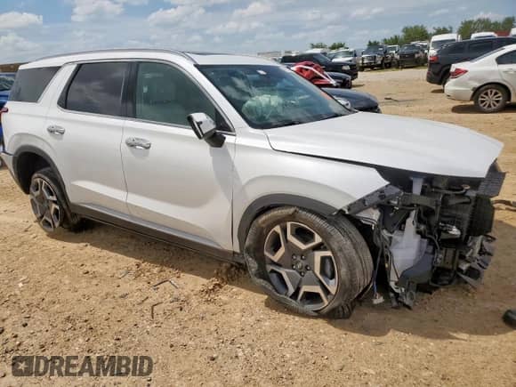 2024 Hyundai Palisade SEL with VIN KM8R44GE6RU736849, listed as a Copart auction lot 64115155 with Not provided miles and Salvage title. Bid and sale history available at DreamBid. Image 4.