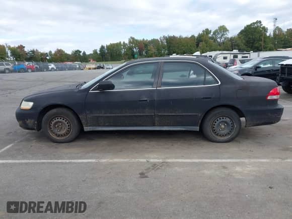 2002 Honda Accord LX с VIN 1HGCG55402A065849, выставлен на аукционе IAAI как лот 43422279 с пробегом 179 790 миль миль и . История ставок и продаж доступна на DreamBid. Изображение 13.