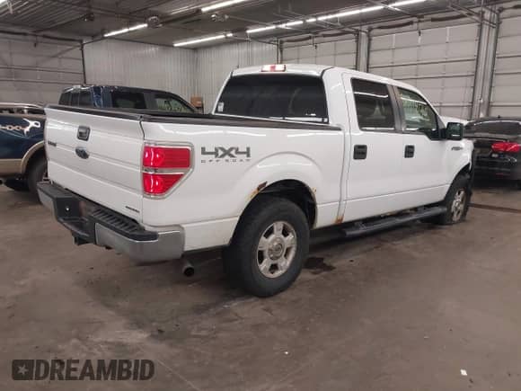 2014 Ford F-150 XLT with VIN 1FTFW1EF4EKG05646, listed as a IAAI auction lot 42948018 with 254,460 mi miles and . Bid and sale history available at DreamBid. Image 4.
