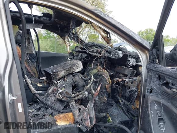 2017 Hyundai Santa Fe Ultimate with VIN 5XYZWDLA6HG485509, listed as a IAAI auction lot 42299871 with Not provided miles and . Bid and sale history available at DreamBid. Image 5.