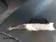 2014 Ford F-250 XL with VIN 1FT7W2A60EEA43758, listed as a IAAI auction lot 42275088 with 248,819 mi miles and . Bid and sale history available at DreamBid. Image 11.