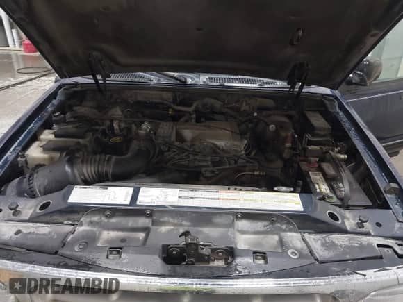 1997 Ford Explorer XLT с VIN 1FMDU35P6VUA33724, выставлен на аукционе IAAI как лот 41843164 с пробегом 226 234 миль миль и . История ставок и продаж доступна на DreamBid. Изображение 10.