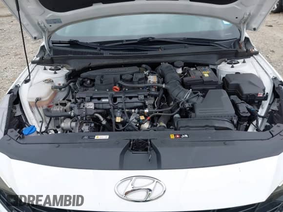 2023 Hyundai Elantra N Line z VIN KMHLR4AF8PU619019, wystawiony jako IAAI lot #43025457 z przebiegiem 25 044 mil mil oraz . Historia ofert i sprzedaży dostępna na DreamBid. Obrazek 10.