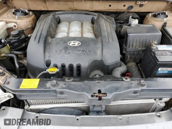 2002 Hyundai Santa Fe GLS с VIN KM8SC73DX2U318190, выставлен на аукционе Copart как лот 64256634 с пробегом 123 993 миль миль и На запчасти • Non repairable. История ставок и продаж доступна на DreamBid. Изображение 11.