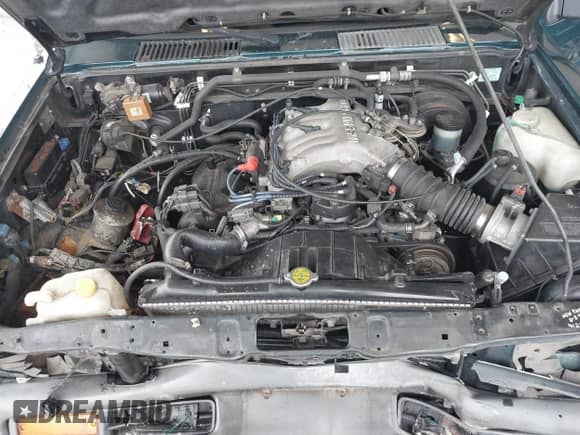 1995 Nissan Pathfinder LE with VIN JN8HD17Y0SW076301, listed as a IAAI auction lot 41845966 with 255,511 mi miles and . Bid and sale history available at DreamBid. Image 10.