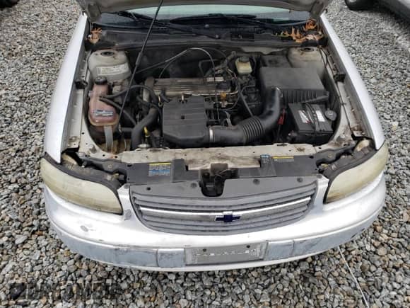 2005 Chevrolet Malibu Classic z VIN 1G1ND52F75M172642, wystawiony jako Copart lot #84000184 z przebiegiem 252 063 mil mil oraz Szkoda całkowita • Salvage title. Historia ofert i sprzedaży dostępna na DreamBid. Obrazek 11.