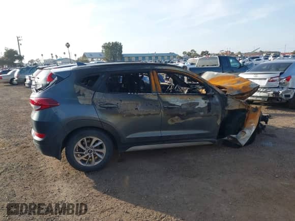 2017 Hyundai Tucson SE with VIN KM8J33A46HU532416, listed as a IAAI auction lot 41594124 with Not provided miles and . Bid and sale history available at DreamBid. Image 13.