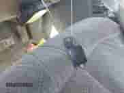 1999 Chevrolet Silverado 2500 LT с VIN 1GCGK29U8XE161901, выставлен на аукционе IAAI как лот 41683517 с пробегом Не указан миль и . История ставок и продаж доступна на DreamBid. Изображение 11.