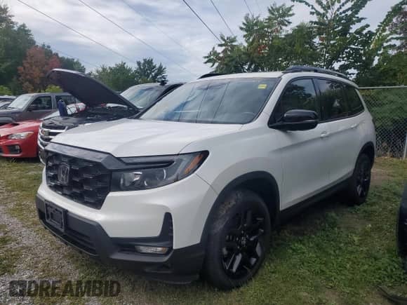 2022 Honda Passport Elite with VIN 5FNYF8H00NB007902, listed as a Copart auction lot 80935945 with 97,446 mi miles and Clean title. Bid and sale history available at DreamBid. Image 2.