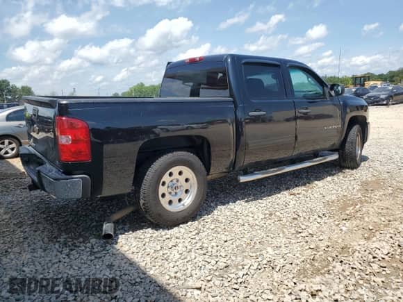 2009 Chevrolet Silverado 1500 LS with VIN 3GCEC13CX9G274856, listed as a Copart auction lot 61836345 with 170,965 mi miles and Salvage title. Bid and sale history available at DreamBid. Image 3.