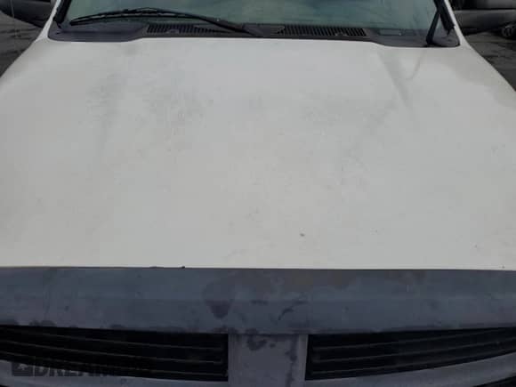 2008 Dodge 2500 ST with VIN 3D7KR28D18G240754, listed as a Copart auction lot 79424804 with Not provided miles and Salvage title. Bid and sale history available at DreamBid. Image 13.