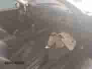 2007 BMW 3 Series 328xi z VIN WBAWV53557PW24102, wystawiony jako IAAI lot #43564560 z przebiegiem 129 338 mil mil oraz . Historia ofert i sprzedaży dostępna na DreamBid. Obrazek 5.