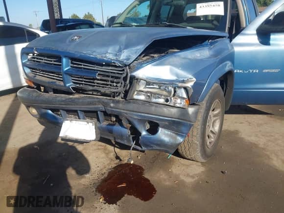 2002 Dodge Dakota Sport with VIN 1B7HL38N22S652119, listed as a IAAI auction lot 43395458 with 162,733 mi miles and . Bid and sale history available at DreamBid. Image 6.