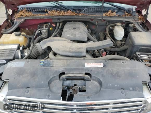 2004 Chevrolet Avalanche with VIN 3GNEC12T64G200884, listed as a Copart auction lot 80520254 with 192,123 mi miles and Salvage title. Bid and sale history available at DreamBid. Image 11.