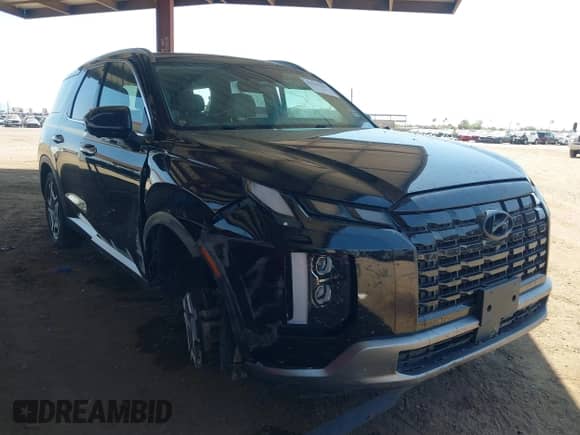2023 Hyundai Palisade SEL with VIN KM8R4DGE5PU495119, listed as a IAAI auction lot 42542236 with 56,343 mi miles and . Bid and sale history available at DreamBid. Image 1.