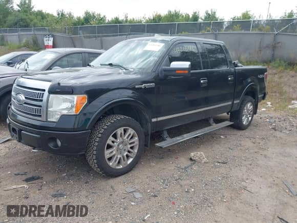 2009 Ford F-150 XL with VIN 1FTPW14V39FA62186, listed as a IAAI auction lot 43203186 with 234,283 mi miles and . Bid and sale history available at DreamBid. Image 17.