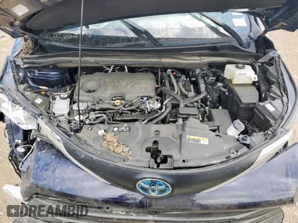 2025 Toyota Sienna LE with VIN 5TDKRKEC9SS241438, listed as a Copart auction lot 60120085 with Not provided miles and Salvage title. Bid and sale history available at DreamBid. Image 11.