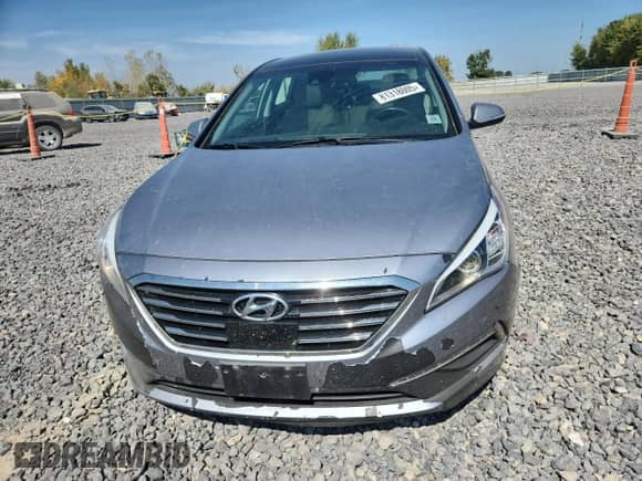 2015 Hyundai Sonata Limited with VIN 5NPE34AF5FH024782, listed as a Copart auction lot 81318005 with 49,156 mi miles and Salvage title. Bid and sale history available at DreamBid. Image 5.