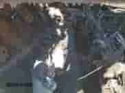 2006 Chrysler 300 with VIN 2C3KA43R26H484558, listed as a Copart auction lot 80441675 with Not provided miles and Salvage title. Bid and sale history available at DreamBid. Image 10.