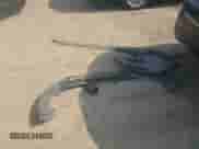 2015 Hyundai Tucson Limited z VIN KM8JUCAG8FU009368, wystawiony jako Copart lot #67308175 z przebiegiem 131 995 mil mil oraz Szkoda całkowita • Salvage title. Historia ofert i sprzedaży dostępna na DreamBid. Obrazek 12.