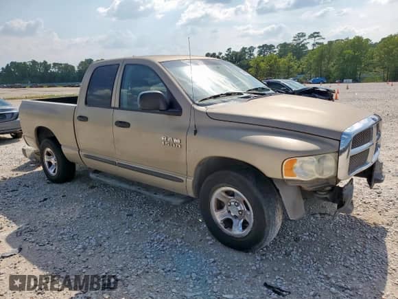 2002 Dodge 1500 z VIN 1D7HA18N82S703087, wystawiony jako Copart lot #69861465 z przebiegiem 235 200 mil mil oraz Szkoda całkowita • Salvage title. Historia ofert i sprzedaży dostępna na DreamBid. Obrazek 4.
