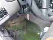 2001 Honda Accord EX with VIN JHMCG66841CO18539, listed as a IAAI auction lot 42799453 with Not provided miles and . Bid and sale history available at DreamBid. Image 11.