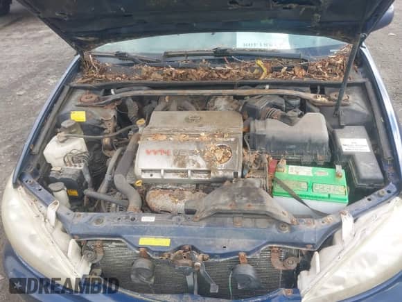 2005 Toyota Camry LE z VIN 4T1BF30K35U091920, wystawiony jako IAAI lot #43581408 z przebiegiem 130 454 mil mil oraz . Historia ofert i sprzedaży dostępna na DreamBid. Obrazek 10.