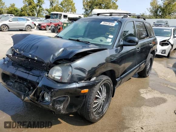 2003 Hyundai Santa Fe GLS with VIN KM8SC13D63U360869, listed as a Copart auction lot 70447874 with 206,488 mi miles and Salvage title. Bid and sale history available at DreamBid. Image 1.