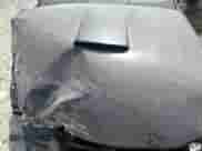 2009 Ford Mustang GT z VIN 1ZVHT85H995134171, wystawiony jako Copart lot #71927785 z przebiegiem 165 825 mil mil oraz Szkoda całkowita • Salvage title. Historia ofert i sprzedaży dostępna na DreamBid. Obrazek 11.