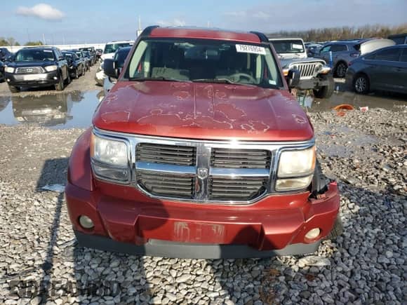 2009 Dodge Nitro SXT z VIN 1D8GU28K99W541922, wystawiony jako Copart lot #79276954 z przebiegiem 61 533 mil mil oraz Szkoda całkowita • Salvage title. Historia ofert i sprzedaży dostępna na DreamBid. Obrazek 5.