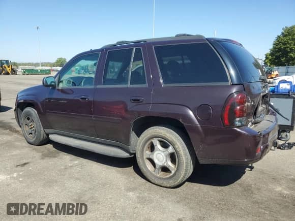 2009 Chevrolet TrailBlazer 1LT с VIN 1GNDT33S592102197, выставлен на аукционе Copart как лот 80154875 с пробегом 192 849 миль миль и Списание • Salvage title. История ставок и продаж доступна на DreamBid. Изображение 2.