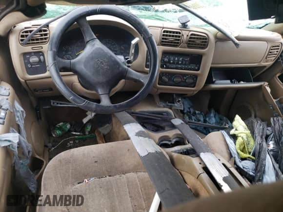 2000 Chevrolet Blazer LS z VIN 1GNCS13W6Y2155253, wystawiony jako Copart lot #55951095 z przebiegiem 243 661 mil mil oraz Szkoda całkowita • Salvage title. Historia ofert i sprzedaży dostępna na DreamBid. Obrazek 8.