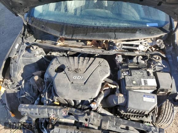 2017 Hyundai Accent SE с VIN KMHCT5AE0HU325016, выставлен на аукционе Copart как лот 81763505 с пробегом 110 371 миль миль и Списание • Salvage title. История ставок и продаж доступна на DreamBid. Изображение 11.