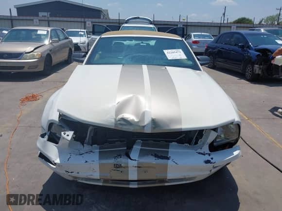 2006 Ford Mustang Standard с VIN 1ZVFT84N465107373, выставлен на аукционе IAAI как лот 42205471 с пробегом 60 598 миль миль и . История ставок и продаж доступна на DreamBid. Изображение 12.