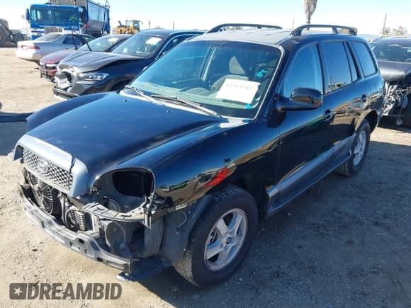 2003 Hyundai Santa Fe GLS с VIN KM8SC13D23U559627, выставлен на аукционе IAAI как лот 43465517 с пробегом 169 962 миль миль и . История ставок и продаж доступна на DreamBid. Изображение 2.