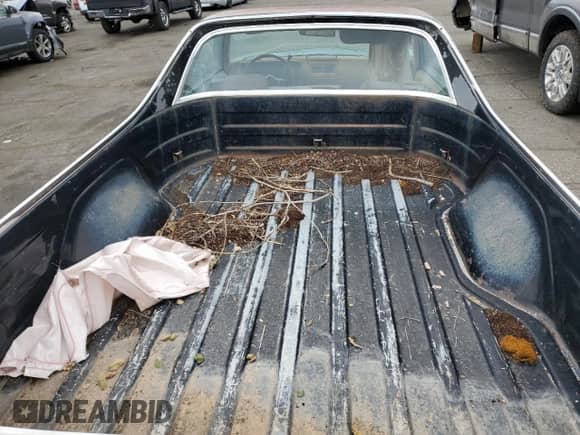 1980 Chevrolet El Camino with VIN 1W80HAK416341, listed as a Copart auction lot 66942874 with 89,240 mi miles and Clean title. Bid and sale history available at DreamBid. Image 10.