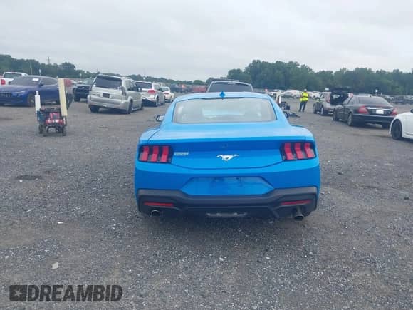 2024 Ford Mustang EcoBoost с VIN 1FA6P8TH8R5143368, выставлен на аукционе IAAI как лот 43025741 с пробегом 9 326 миль миль и . История ставок и продаж доступна на DreamBid. Изображение 17.