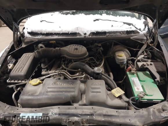 2000 Dodge Dakota Sport with VIN 1B7GL22Z0YS741732, listed as a IAAI auction lot 41573450 with 162,123 mi miles and . Bid and sale history available at DreamBid. Image 10.