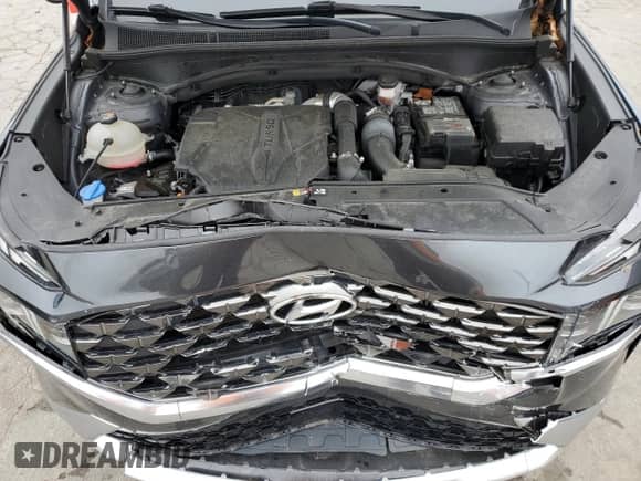 2021 Hyundai Santa Fe Calligraphy z VIN 5NMS5DAL4MH365037, wystawiony jako Copart lot #51372475 z przebiegiem 49 196 mil mil oraz Szkoda całkowita • Salvage title. Historia ofert i sprzedaży dostępna na DreamBid. Obrazek 12.