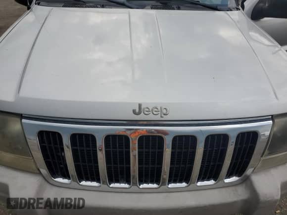2002 Jeep Grand Cherokee Sport with VIN 1J4GW38S12C236897, listed as a Copart auction lot 61746635 with 141,693 mi miles and Clean title. Bid and sale history available at DreamBid. Image 12.