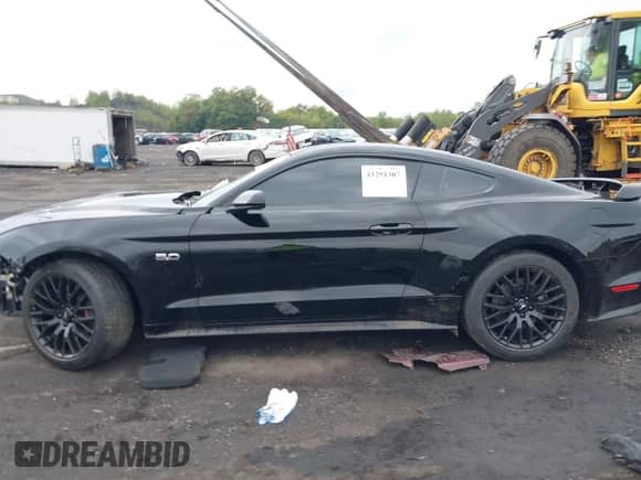 2019 Ford Mustang GT z VIN 1FA6P8CF4K5124160, wystawiony jako IAAI lot #43291307 z przebiegiem 19 959 mil mil oraz . Historia ofert i sprzedaży dostępna na DreamBid. Obrazek 14.