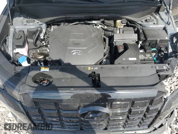2025 Hyundai Palisade XRT с VIN KM8R34GE2SU938340, выставлен на аукционе Copart как лот 69199445 с пробегом 1 492 миль миль и Списание • Salvage title. История ставок и продаж доступна на DreamBid. Изображение 12.