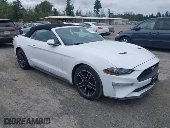 2023 Ford Mustang EcoBoost with VIN 1FATP8UH9P5110555, listed as a IAAI auction lot 42593858 with 41,948 mi miles and . Bid and sale history available at DreamBid. Image 1.